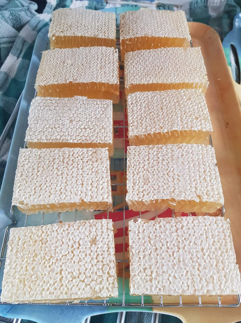 Wildflower Honeycomb 240g